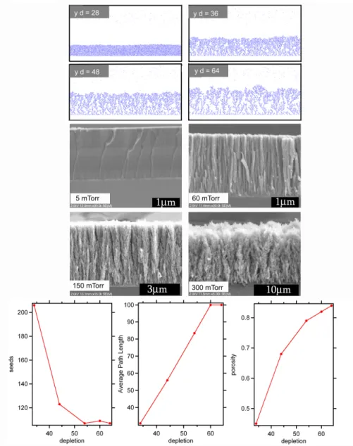 Figure 2.9: Comparison of simulated and experimental structures. Simulated structures are obtained by changing ”y-bias depletion” parameter (lowest at (a) to highest at (d)).