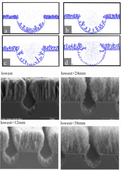 Figure 2.11: Comparison of simulated and experimental structures. Simulated structures are obtained by changing ”substrate height” parameter (lowest at (a) to highest at (d)).