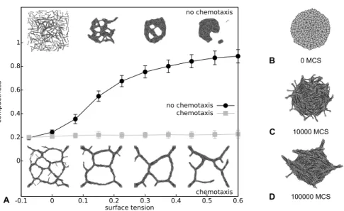 Figure 2.4: A Relation between compactness and surface tension, with and without chemotaxis