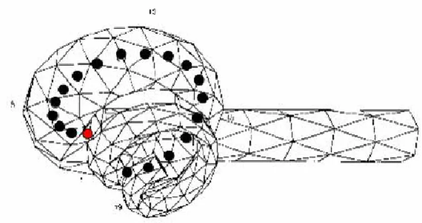 Figure 2.5: Cochlea and EAM model  (from Mens et al., 1999; Figure 3 and www.informaworld.com)