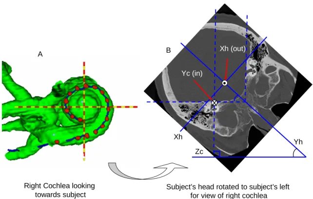 Figure 3.8: Geometry of right cochlea  (Panel B after Xu et al., 2000; Figure 1B)