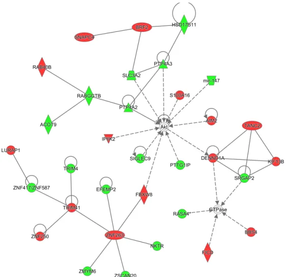 Figure	7.	Top	enriched	pathway	as	determined	by	IPA.	 	
