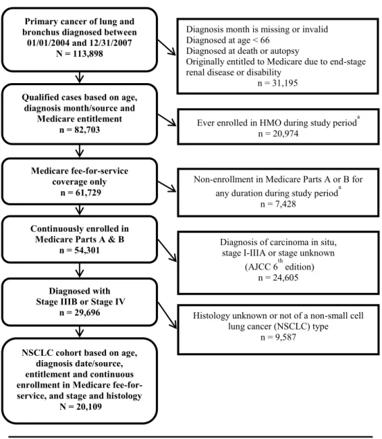 Figure 4.1: Flow diagram of NSCLC cohort selection 