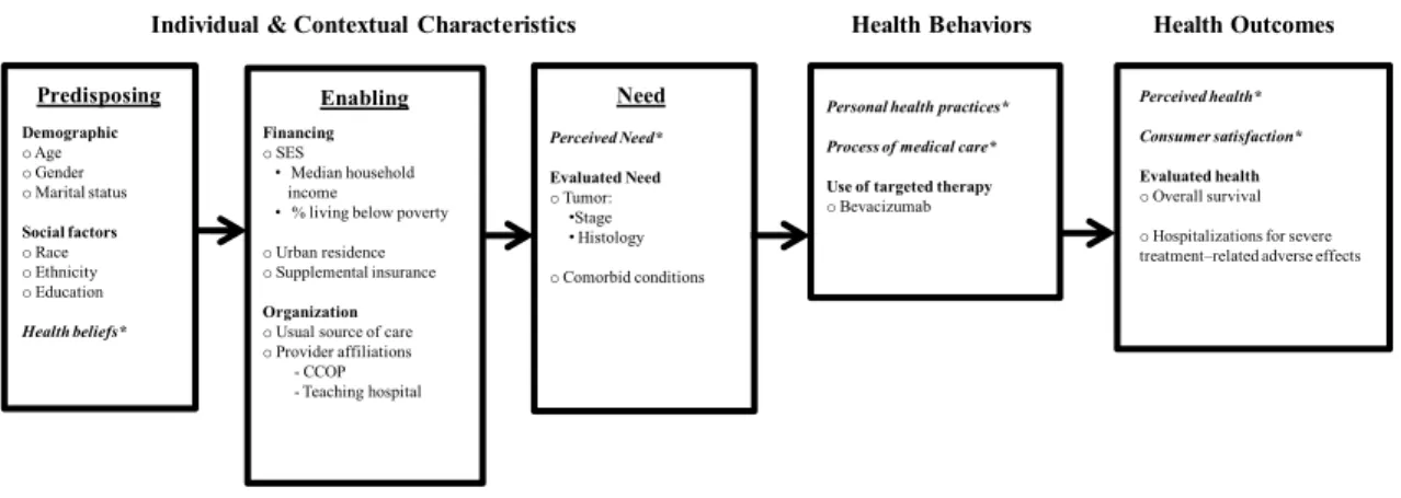 Figure 2.2 Proposed conceptual framework  Perceived Need* Evaluated Need o Tumor: •Stage • Histology o Comorbid conditions