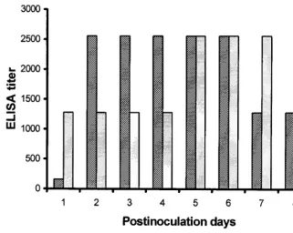 FIG. 2. Dynamics of rPEC capsid production in Sf9 cells after inoculation with recombinant baculoviruses