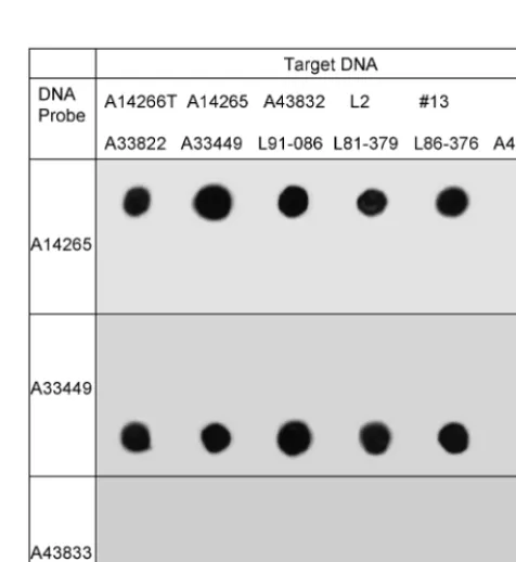 TABLE 1. Major cellular fatty acids