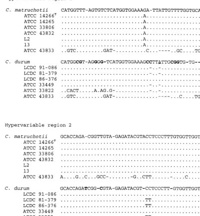 FIG. 3. Alignment of sequences of two variable regions in the 16S rRNA gene. GenBank sequences of C