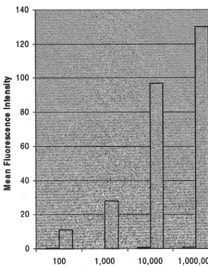 FIG. 2. Ampliﬁcation of C. trachomatischored SDA. Anchored SDA was performed with increasing amountsof template DNA input to determine the sensitivity of the system.Representative ﬂuorescent images of each titration reaction are madeafter reporter hybridiz