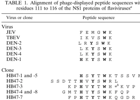 FIG. 1. Selection for 15F3-1-binding phage clones. After the third round of biopanning, 20 individual phage clones were isolated; only 14 ofthem reacted strongly with 15F3-1.