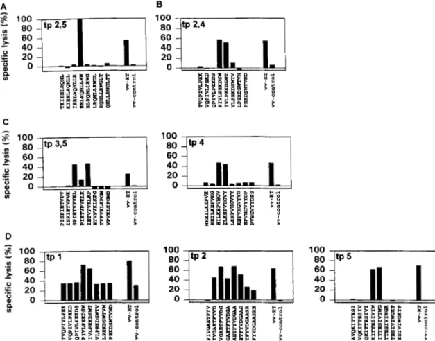 FIGURE  2.  RT-derived epitopes recognized  by  four LTS at different time  points ( A ,  LO1 6;  B, L090; C,  L658;  D, L709)