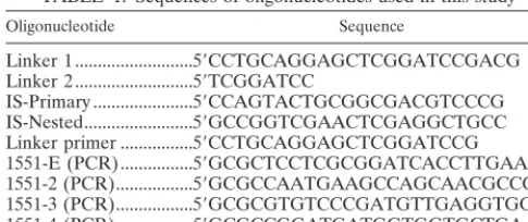 TABLE 1. Sequences of oligonucleotides used in this study