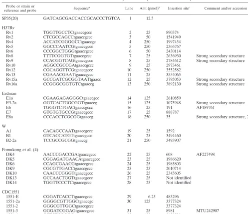 TABLE 2. Insertion site oligonucleotide probes used in this study
