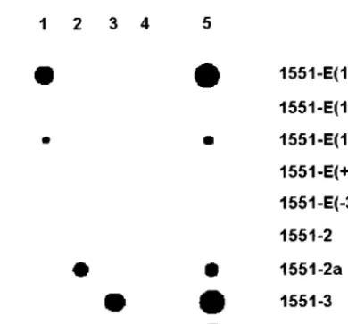 FIG. 1. Generalstrategybiotinylated IS-Nested primer is indicated. Oligonucleotide probes aredesigned to consist of both the right end of ISLMPCR ampliﬁcation is used to generate a set of labeled ampliconsrepresenting the copies of ISsequence and are compl
