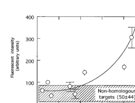 FIG. 2. Quantitation of hybridization signals. A glass backgroundvalue was automatically subtracted from all measured ﬂuorescence