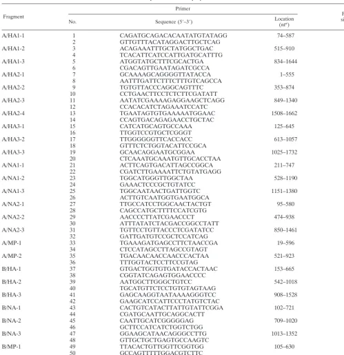 TABLE 3. Primer pairs used to amplify inﬂuenza virus cDNAs