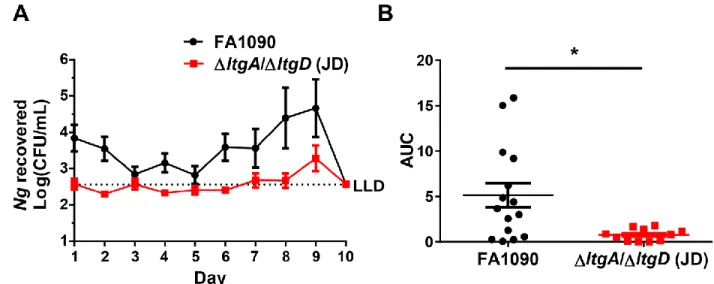 Figure 3.1. Mice infected with FA1090 ΔltgA/ΔltgD have a lower bacterial burden  compared to mice infected with wild type N