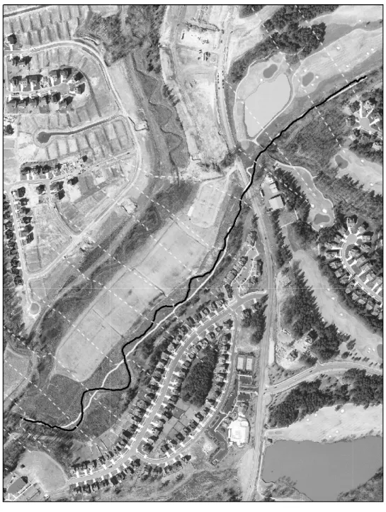 Figure 2b.  Aerial photograph of restored Smith Creek study reach with surveyed cross section cutlines (white  lines perpendicular to stream), restored channel outline 