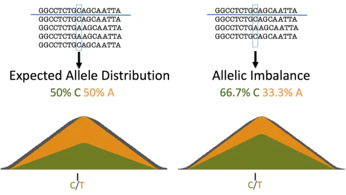 Figure 1: Visualization of Allelic Imbalance with Sequencing Reads 