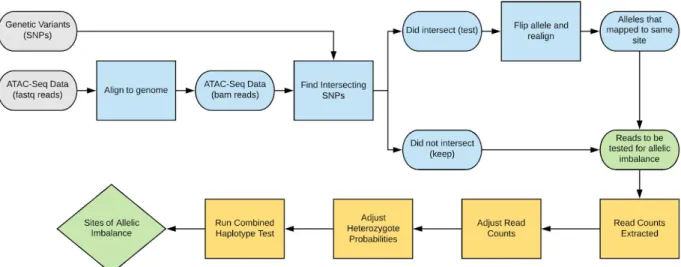 Figure 2: ​ ​Overview of WASP Mapping Pipeline and CHT Test 