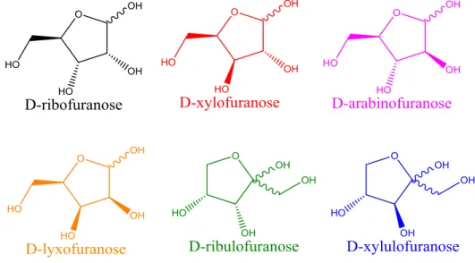Figure 3.4: Structures for all D-pentoses studied shown in their furanose conformation 
