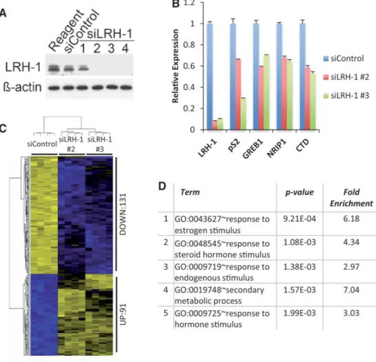 Figure 1: Expression profiling shows that LRH-1 regulates the expression of oestro- oestro-gen-regulated genes