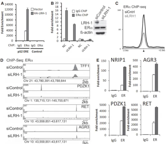 Figure 4: LRH-1 promotes ERα binding to the ERα binding sites. 