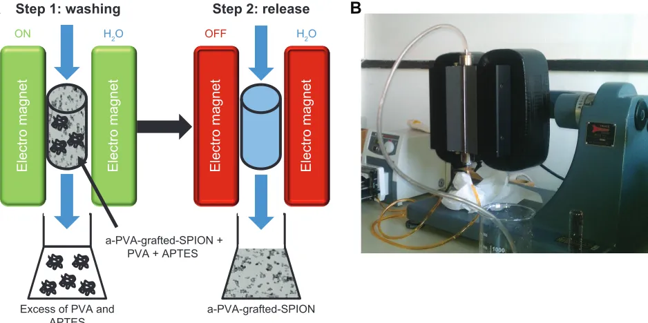 Figure S2 Transmission electron microscope (TEM) images.Notes: Naked SPION and SPION coated with adsorbed amino-PVA (a-PVA-SPION), PVA grafted with amino cross-linker (a-PVA-grafted-SPION [++]), and PVA grafted with amino cross-linker and with decrease of 