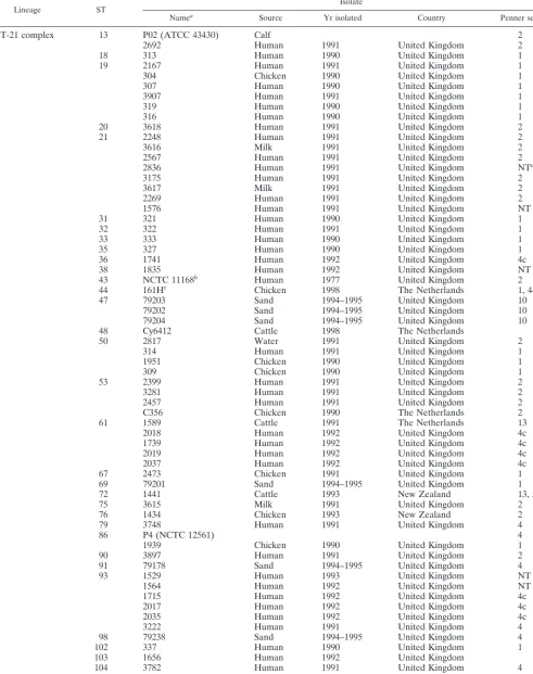 TABLE 3. C. jejuni lineages