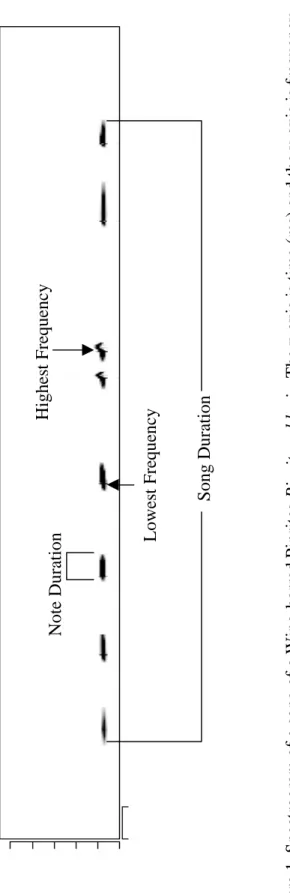 Figure 1. Spectrogram of a song of a Wing-barred Piprites Piprites chloris. The x-axis is time (ms) and the y-axis is frequency  (Hz)