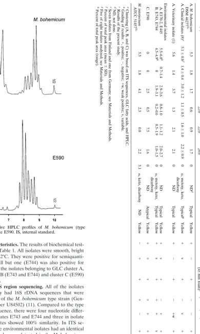 FIG. 2. Representative HPLC proﬁles of M. bohemicum (typestrain) and of the isolate E590