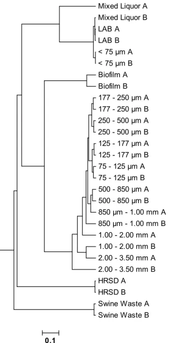 Figure 6.2: Phylogenetic tree showing the relationships of the sequenced microbial 