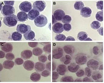 Figure 4 realgar NPs activated autophagy through PI3K/akt/mTOr pathway.Notes: (A) K562 cells were treated with specific concentrations of realgar NPs (0, 5, 10, and 20 μg/ml) for 24 h