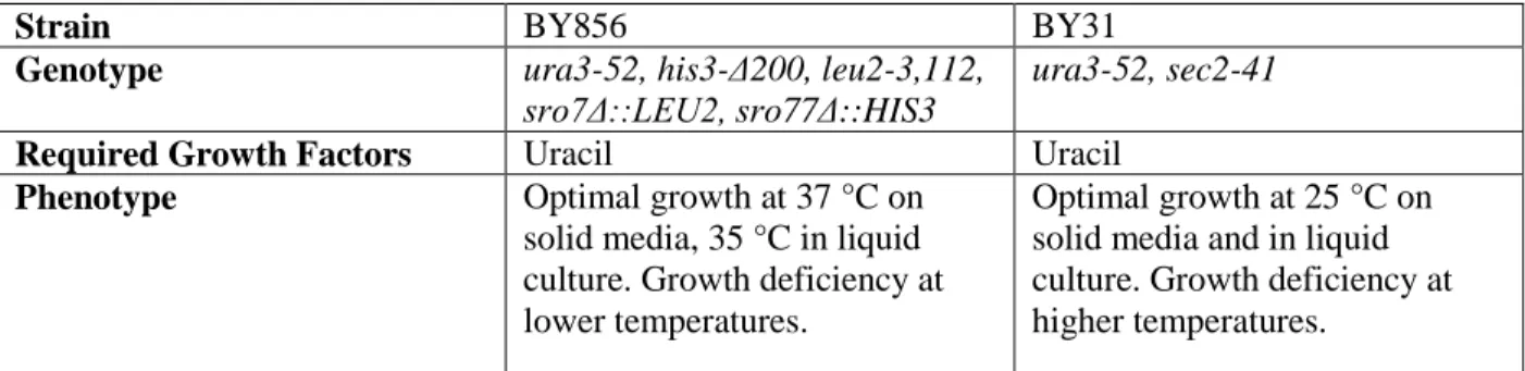 Table 1. S. cerevisiae strains used for screening