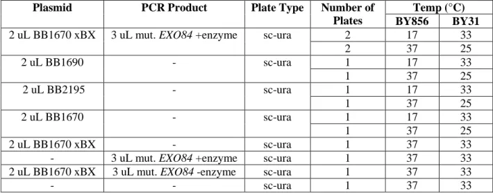 Table 3. Large-Scale Screen with BY856 –  Six transformation tubes in total were made of BB1670  xBX plus mut