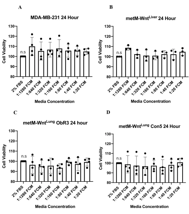 Figure 4. Cell viability of MDA-MB-231 (A), metM-Wnt Liver  (B), metM-Wnt Lung  ObR3 (C),  and  metM-Wnt Lung   Con5  (D)  cell  lines  treated  with  DIO  FCM  to  assess  appropriate  concentration dosages over a 24 hour time period