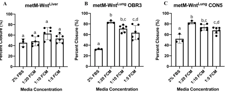 Figure 11. Percent wound closure calculated using ImageJ wound-healing software for  metM- metM-Wnt Liver   (A),  metM-Wnt Lung   OBR3  (B),  and  metM-Wnt Lung   CON5  (C)  cell  lines  after  24  hour  treatment with 1:5, 1:10, or 1:20 concentrations of 