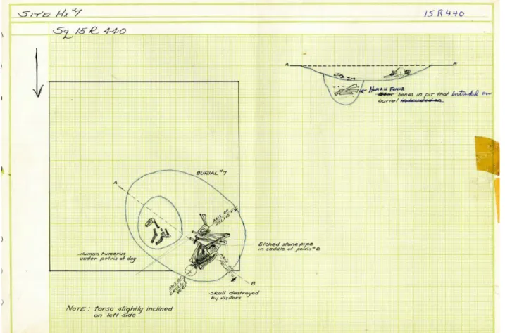 Figure 10. Field Drawing of Dog Burial 1 and Human Burial 7 (Courtesy of the Research  Laboratories of Archaeology, University of North Carolina at Chapel Hill)