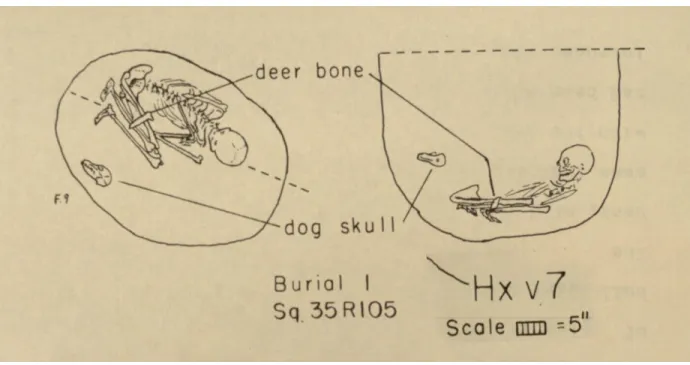 Figure 13. Thesis Diagram of a Potential Dog Burial in Feature 9 and Human Burial 1 (South  1959)