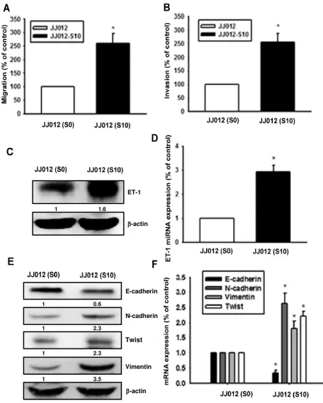 Figure 2: Upregulation of ET-1 and EMT in migration-prone chondrosarcoma cells. After 10 rounds of selection using the cell culture insert system, the migration-prone subline JJ012(S10) exhibited greater migration A