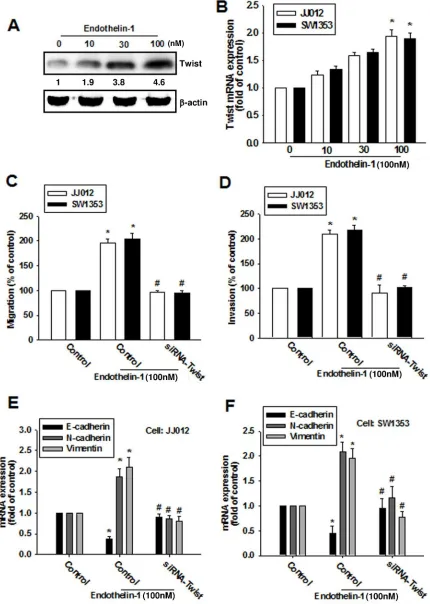 Figure 4: ET-1 enhances cell migration and EMT through Twist activation. A & B. Cells were incubated with ET-1 (10~100 nM) for 24 h, and the protein and mRNA expression levels of Twist were measured by western blot (A) and qPCR (B)