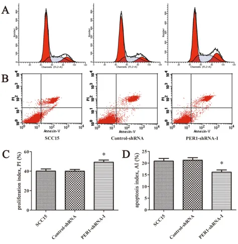 Figure 2: PER1flow cytometry profiles of proliferation among cells in the SCC15, Control-shRNA and PER1-shRNA-I groups