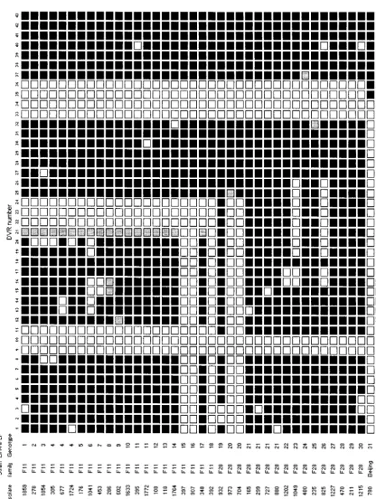 FIG. 2. Spoligotype patterns of three independently evolving strain families. Each isolate was spoligotyped with the internationally standardized method(13, 16)