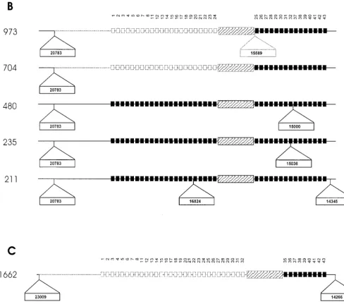 FIG. 3—Continued.