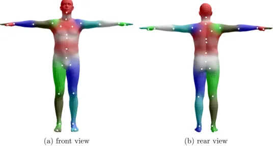Figure 4.1: Base human body model. The color gradient shows the initial blend weights