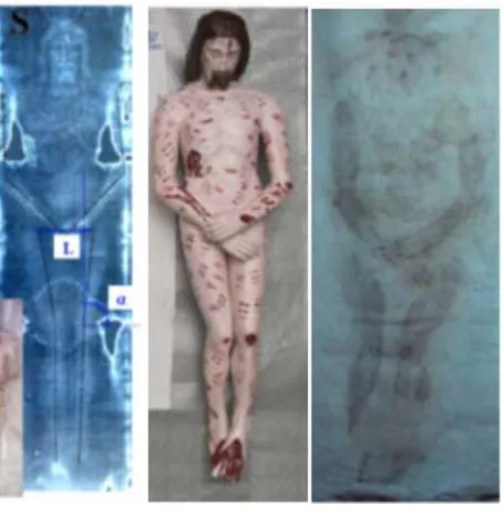 Figure 5. The negative image of the TS (left) compared with a half-scale TS-like manikin (central) and the image(right) obtained on the external surface of an ironed TS-like sheet illuminated by UV