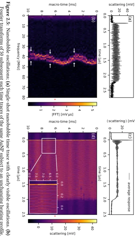Figur e 2.5: Nanobubble oscillations; (a) Single-shot nanobubble time trace with clearly visible oscillations