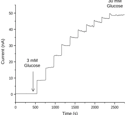 Figure  2.1.  Amperometric  glucose  response  for  NO- NO-releasing  PU-coated  (MPTMS-RSNO)  needle  type  sensor  after pre-conditioning in PBS