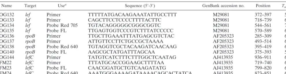 TABLE 2. Primers and probes used in real-time PCR