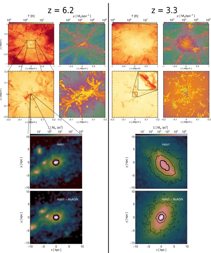 Figure 1. Illustration of the typical cosmological environment of the targeted haloes with AGN feedback in the simulation