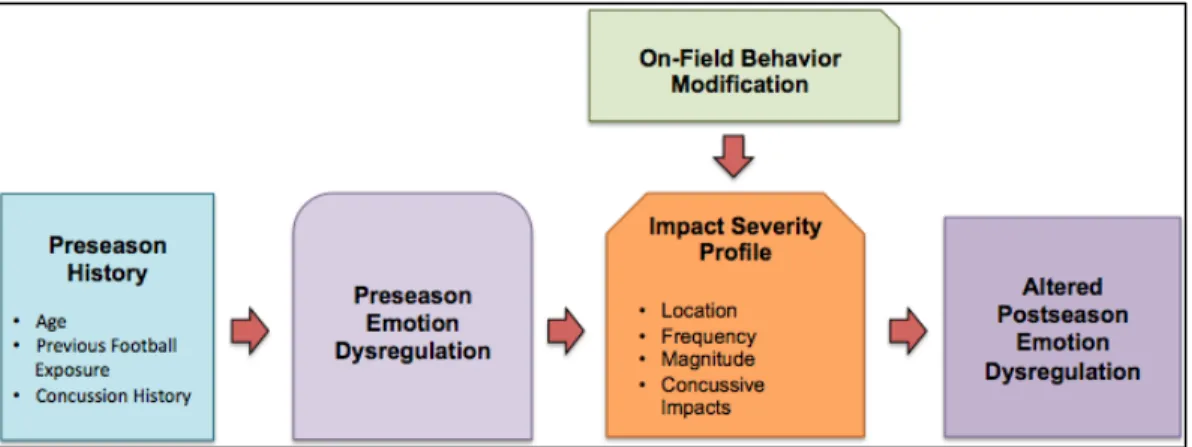 Figure 1.1: Procedural Progression  